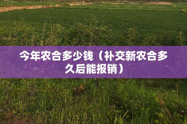 今年农合多少钱（补交新农合多久后能报销）