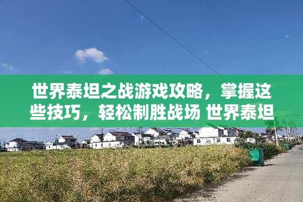 世界泰坦之战游戏攻略，掌握这些技巧，轻松制胜战场 世界泰坦之战游戏攻略