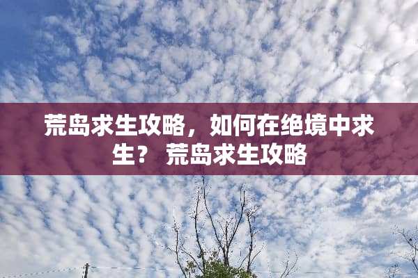 荒岛求生攻略，如何在绝境中求生？ 荒岛求生攻略