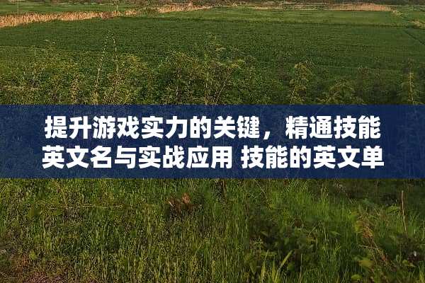 提升游戏实力的关键，精通技能英文名与实战应用 技能的英文单词