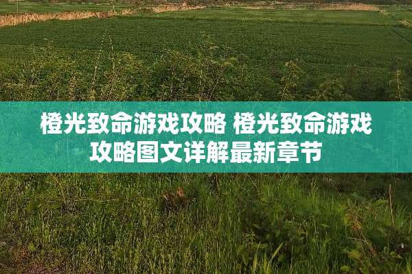 橙光致命游戏攻略 橙光致命游戏攻略图文详解最新章节 橙光致命游戏攻略 橙光致命游戏攻略图文详解最新章节