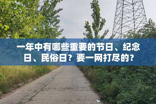 一年中有哪些重要的节日、纪念日、民俗日？要一网打尽的？