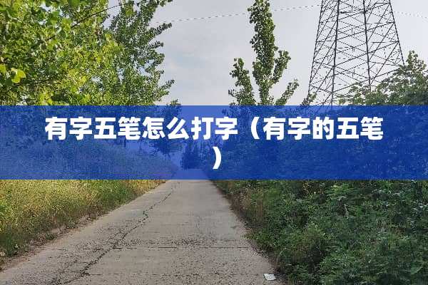 有字五笔怎么打字（有字的五笔）