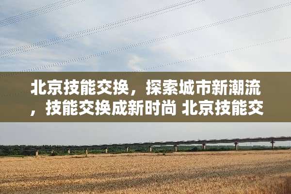 北京技能交换，探索城市新潮流，技能交换成新时尚 北京技能交换