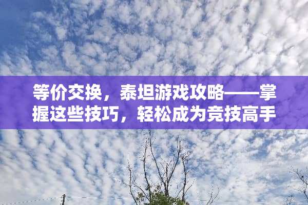 等价交换，泰坦游戏攻略——掌握这些技巧，轻松成为竞技高手 等价交换泰坦游戏攻略