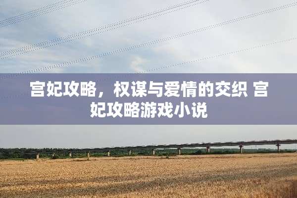 宫妃攻略,权谋与爱情的交织 宫妃攻略游戏小说 宫妃攻略,权谋与爱情的交织 宫妃攻略游戏小说
