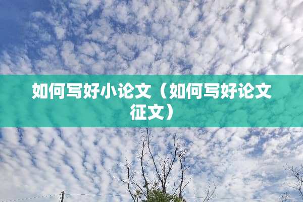 如何写好小论文(如何写好论文征文) 如何写好小论文(如何写好论文征文)