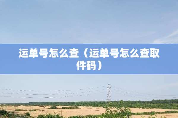 运单号怎么查（运单号怎么查取件码）