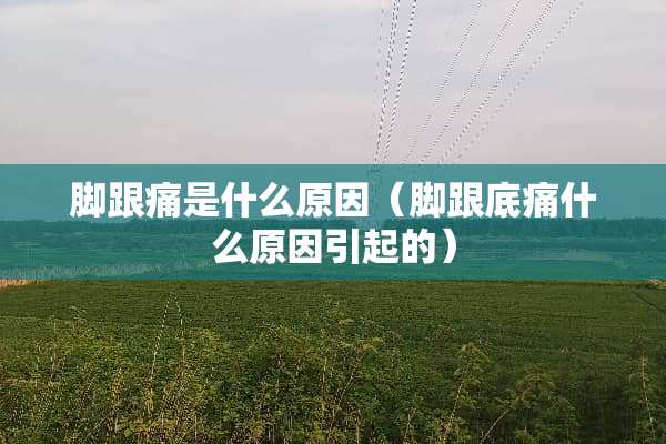脚跟痛是什么原因（脚跟底痛什么原因引起的）