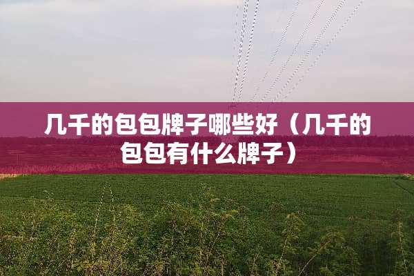 几千的包包牌子哪些好(几千的包包有什么牌子) 几千的包包牌子哪些好(几千的包包有什么牌子)