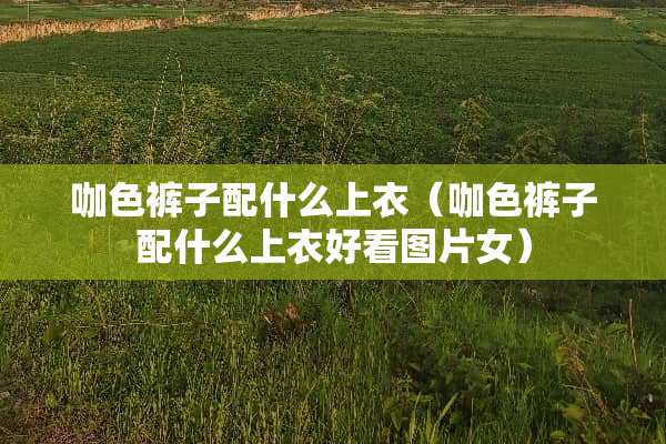 咖色裤子配什么上衣(咖色裤子配什么上衣好看图片女) 咖色裤子配什么上衣(咖色裤子配什么上衣好看图片女)