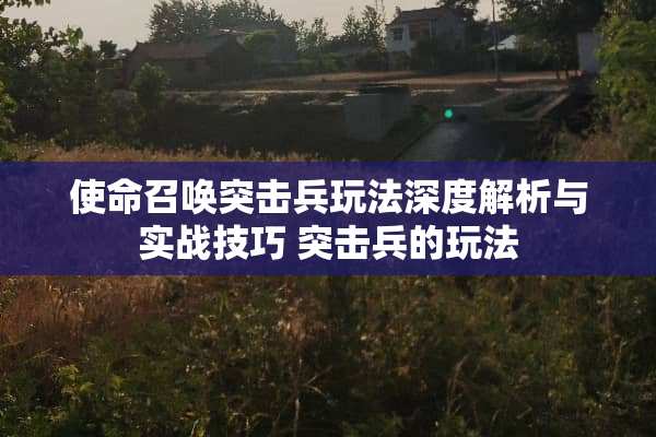 使命召唤突击兵玩法深度解析与实战技巧 突击兵的玩法