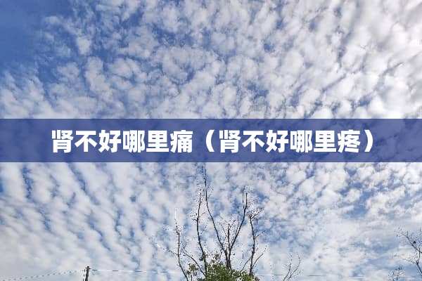 肾不好哪里痛(肾不好哪里疼) 肾不好哪里痛(肾不好哪里疼)