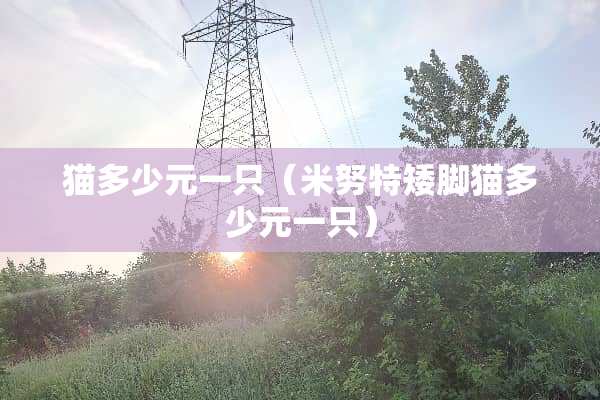猫多少元一只（米努特矮脚猫多少元一只）