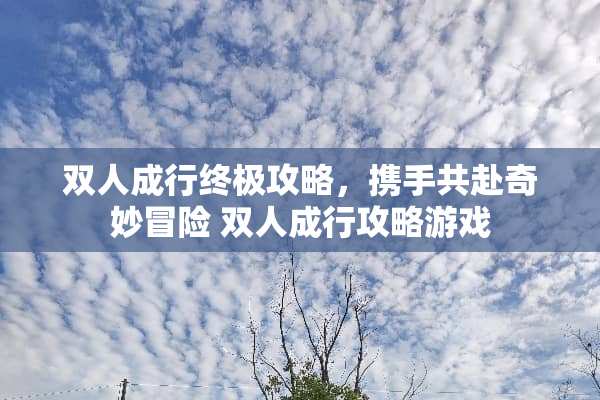双人成行终极攻略,携手共赴奇妙冒险 双人成行攻略游戏 双人成行终极攻略,携手共赴奇妙冒险 双人成行攻略游戏