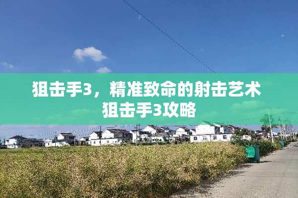 **手3，精准致命的射击艺术**手3攻略