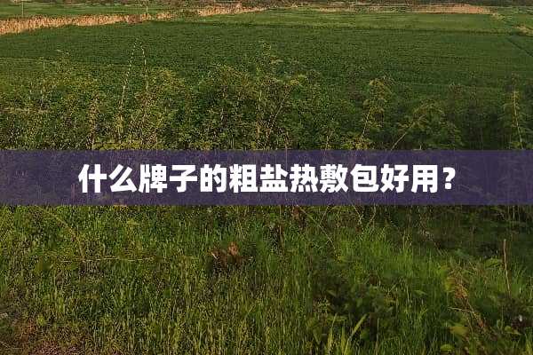 什么牌子的粗盐热敷包好用？
