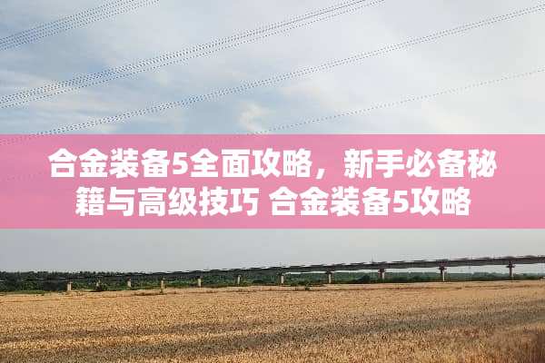 合金装备5全面攻略，新手必备秘籍与高级技巧 合金装备5攻略