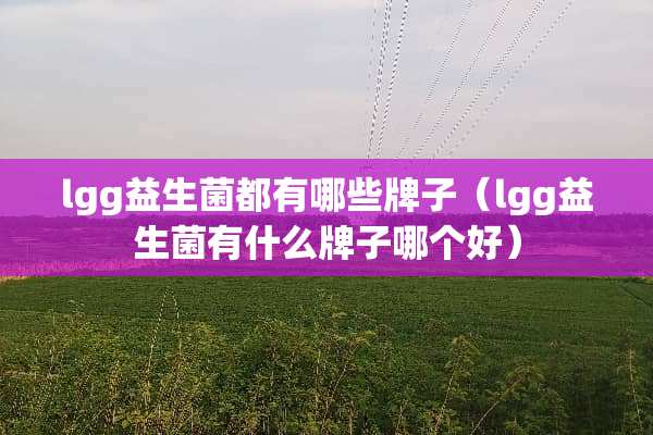 lgg益生菌都有哪些牌子（lgg益生菌有什么牌子哪个好）