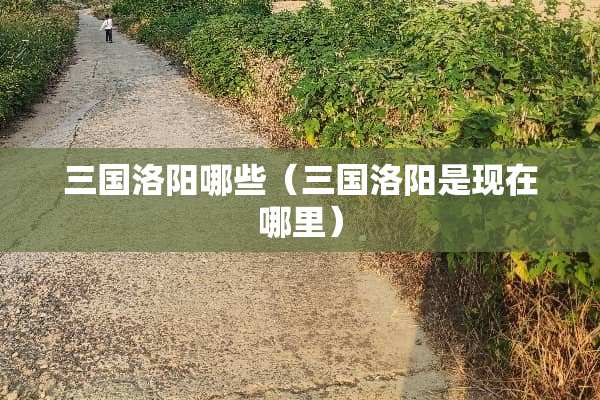 三国洛阳哪些(三国洛阳是现在哪里) 三国洛阳哪些(三国洛阳是现在哪里)