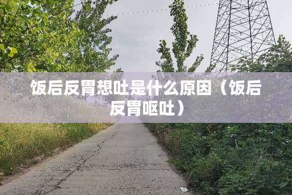 饭后反胃想吐是什么原因(饭后反胃呕吐) 饭后反胃想吐是什么原因(饭后反胃呕吐)