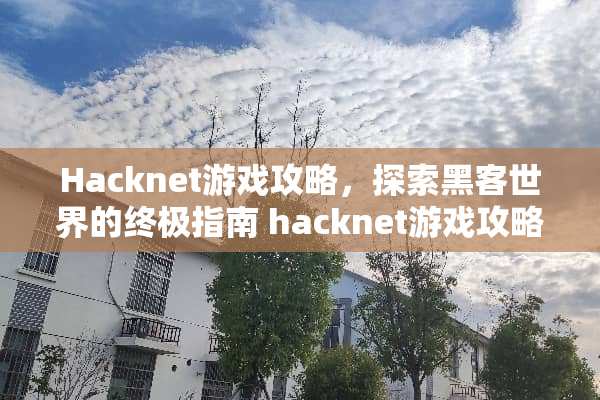 Hacknet游戏攻略，探索黑客世界的终极指南 hacknet游戏攻略