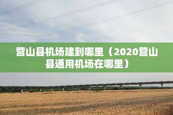 营山县机场建到哪里（2020营山县通用机场在哪里）