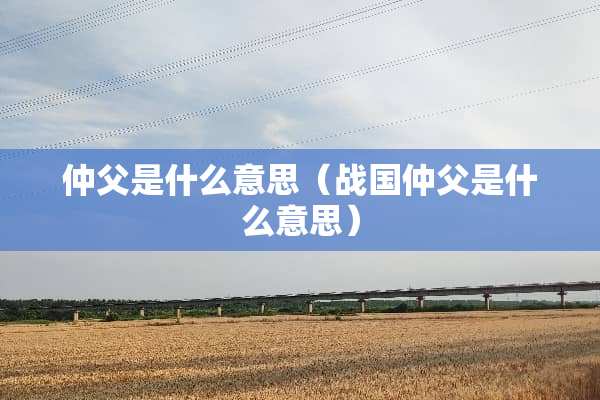 仲父是什么意思（战国仲父是什么意思）