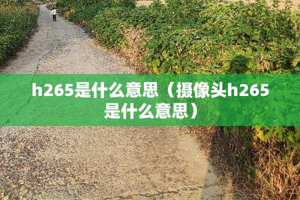 h265是什么意思(**头h265是什么意思) h265是什么意思(**头h265是什么意思)