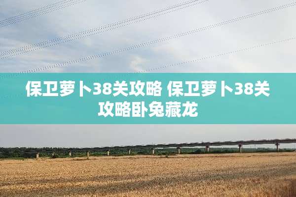 保卫萝卜38关攻略 保卫萝卜38关攻略卧兔藏龙