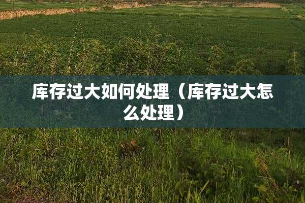 库存过大如何处理（库存过大怎么处理）