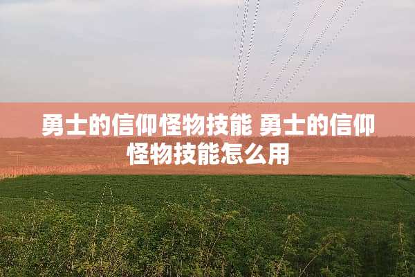 勇士的信仰怪物技能 勇士的信仰怪物技能怎么用