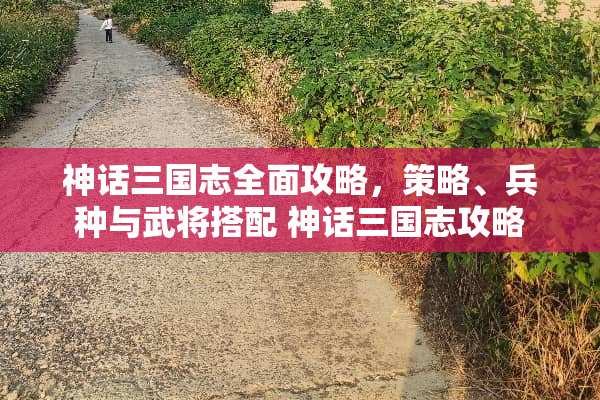 神话三国志全面攻略，策略、兵种与武将搭配 神话三国志攻略