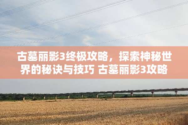 古墓丽影3终极攻略，探索神秘世界的秘诀与技巧 古墓丽影3攻略