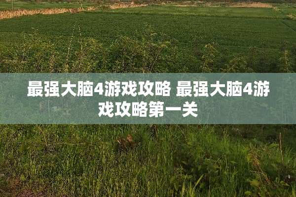最强大脑4游戏攻略 最强大脑4游戏攻略第一关
