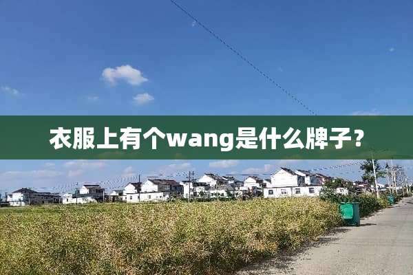 衣服上有个wang是什么牌子？