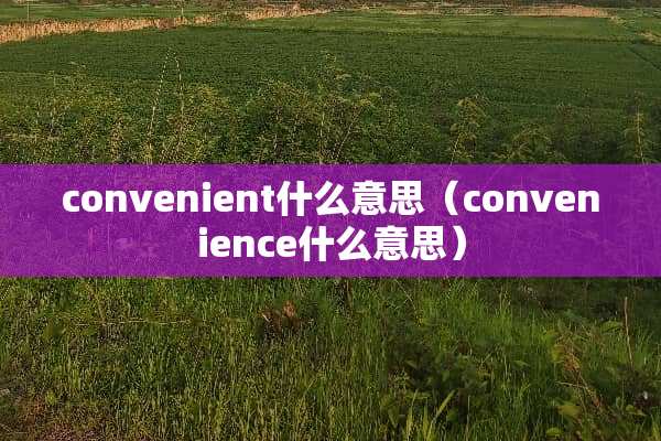 convenient什么意思（convenience什么意思）