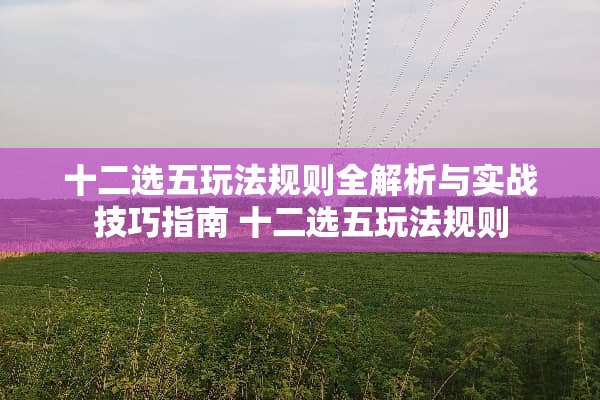 十二选五玩法规则全解析与实战技巧指南 十二选五玩法规则