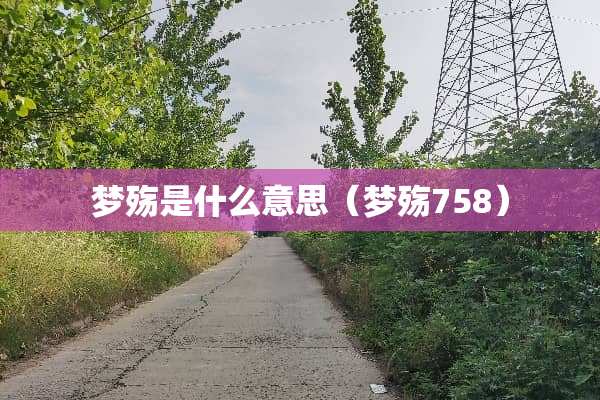 梦殇是什么意思(梦殇758) 梦殇是什么意思(梦殇758)