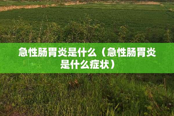 急性肠胃炎是什么（急性肠胃炎是什么症状）