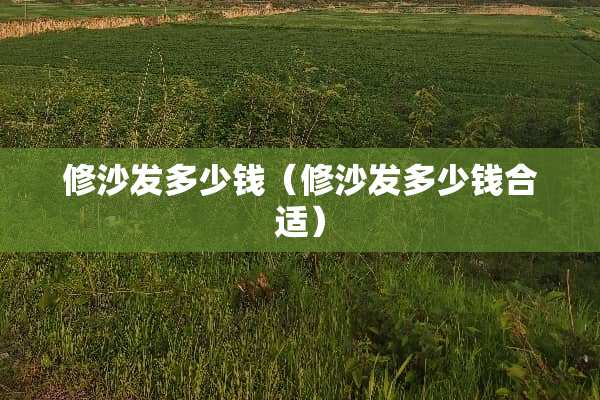 修沙发多少钱(修沙发多少钱合适) 修沙发多少钱(修沙发多少钱合适)