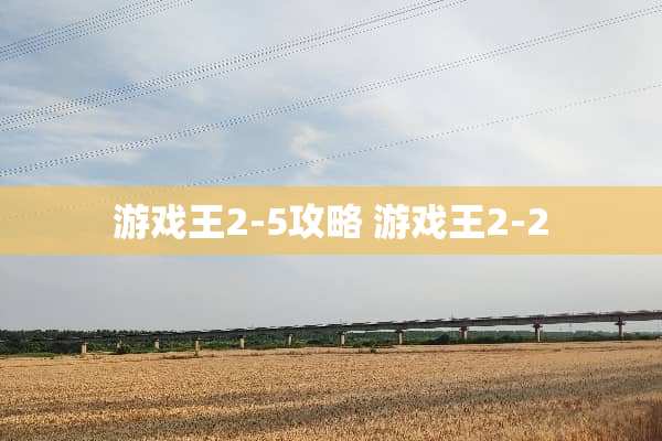 游戏王2-5攻略 游戏王2-2