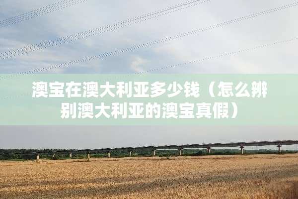 澳宝在澳大利亚多少钱(怎么辨别澳大利亚的澳宝真假) 澳宝在澳大利亚多少钱(怎么辨别澳大利亚的澳宝真假)