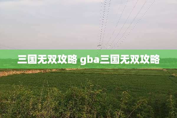 三国无双攻略 gba三国无双攻略