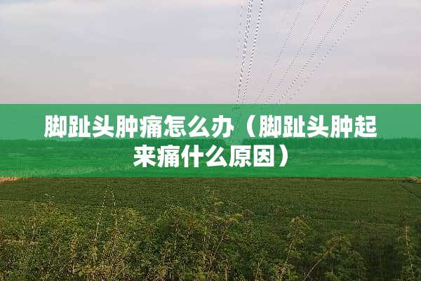 脚趾头肿痛怎么办（脚趾头肿起来痛什么原因）