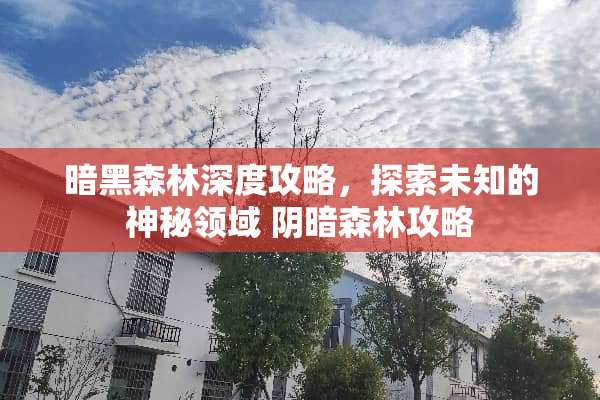 暗黑森林深度攻略，探索未知的神秘领域*暗森林攻略