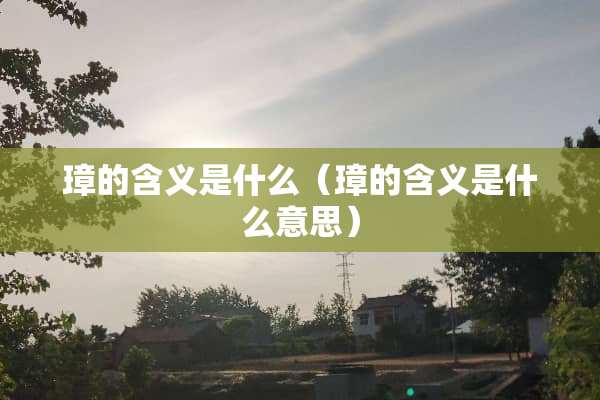 璋的含义是什么（璋的含义是什么意思）