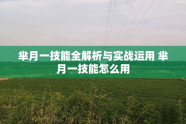 芈月一技能全解析与实战运用 芈月一技能怎么用