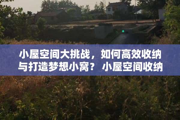 小屋空间大挑战，如何高效收纳与打造梦想小窝？ 小屋空间收纳游戏攻略
