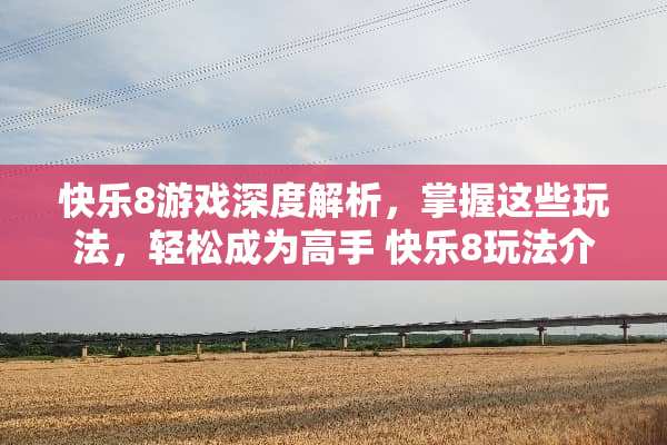 快乐8游戏深度解析，掌握这些玩法，轻松成为高手 快乐8玩法介绍